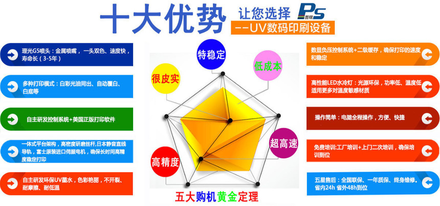 中国迈向经济强国的制度优势与战略根基